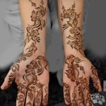 Fabulous Hand Foot Mehndi Designs In 2015  16