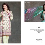 Eid Ul Azha Kurti Tights By Sapphire 2015-16 10