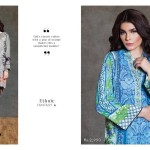 Eid Ul Azha Kurti Tights By Sapphire 2015-16 18