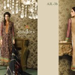 long embroidered kameez