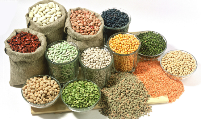 seed food grains