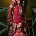 Embroidered Linen Fall Dresses By Rajbari 2015-16 2