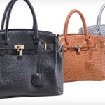 handbags for fall season