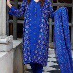 blue embroidery on kameez