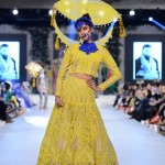 Winter Wedding Dresses By Ali Xeeshan At PLBW 2016 9