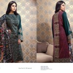 Chiffon Linen Winter Collection By Resham Ghar 2015-16 2