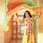 Embroidered Luxury Dresses Deeba Collection By Shariq 2016 11