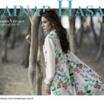 Modern Vintage Shalwar Suits Collection By Zainab Hasan 2016 1