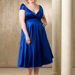 Plus Size Party Wear Dresses For This Year Xmas 8