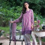 Purple shalwar kameez