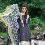 Three Piece Winter Shalwar Kameez By Pareesa 2015-16 11