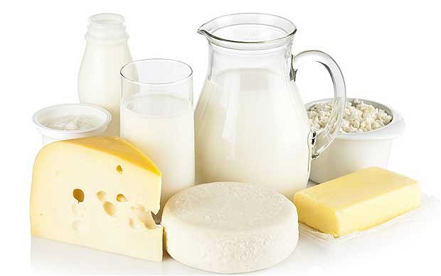 dairy products benefits