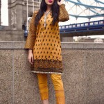 Khaddar Embroidered Nimsay Collection Winter Dresses 2015-16 6