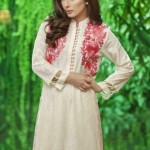 Luxury Pret Winter Traditional Wear Cross Stitch Collection 2016 3