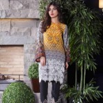 Luxury Pret Winter Traditional Wear Cross Stitch Collection 2016 9