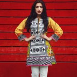 Embroidered kameez