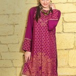 Zeniya Pret Winter Collection 2016 Ready To Wear Dresses 4