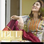 Cambric Embroidered Spring Collection Rujhan Fabrics 2016 17