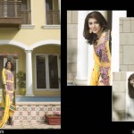 Cambric Embroidered Spring Collection Rujhan Fabrics 2016 19