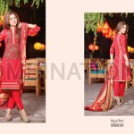 Embrodiered shalwar kameez dress