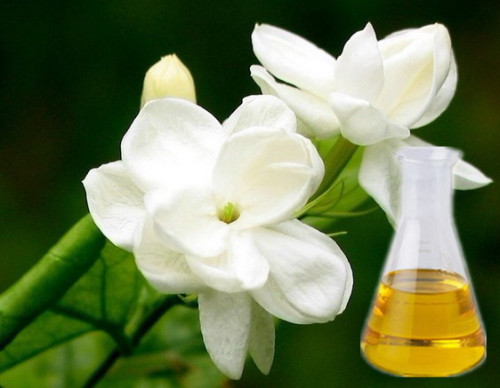 Jasmine oil benefits