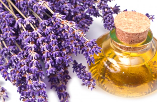 Lavender oil