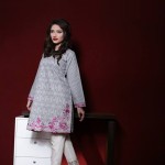 spring embroidered karandi tunics collection