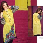 Resham Ghar Ready To Wear Summer Kurtis 2016 7