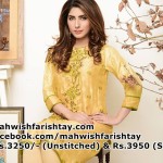 Silk Cotton Net Kameez Collection 2