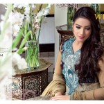 Royal Chiffon Wijdan Collection By Salam Textiles 2016 2