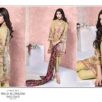 Ethnic Outfitters Luxury Eid Dresses 2016 6