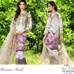 Rani Emaan Eid Special lawn