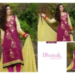 Dhanak Season End Lawn