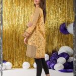 alkaram-pret-dresses-winter-collection-2016-17-3