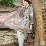 pakistan-ki-pehchan-winter-collection-by-gul-ahmed-2016-17-9