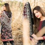 Winter Velvet Dresses Shalwar Kameez By Eshaeman 2017 3