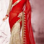 Indian Formal Saree Designs That Can Be Worn On Any Event 6